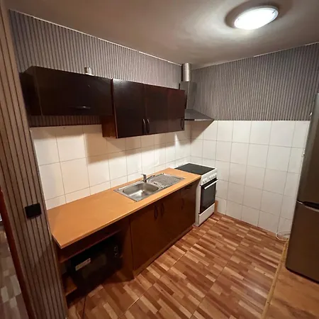 Apartament Bilina